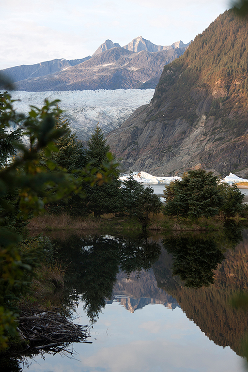 IMG_385.jpg - Mendenhall Glacier at Juneau